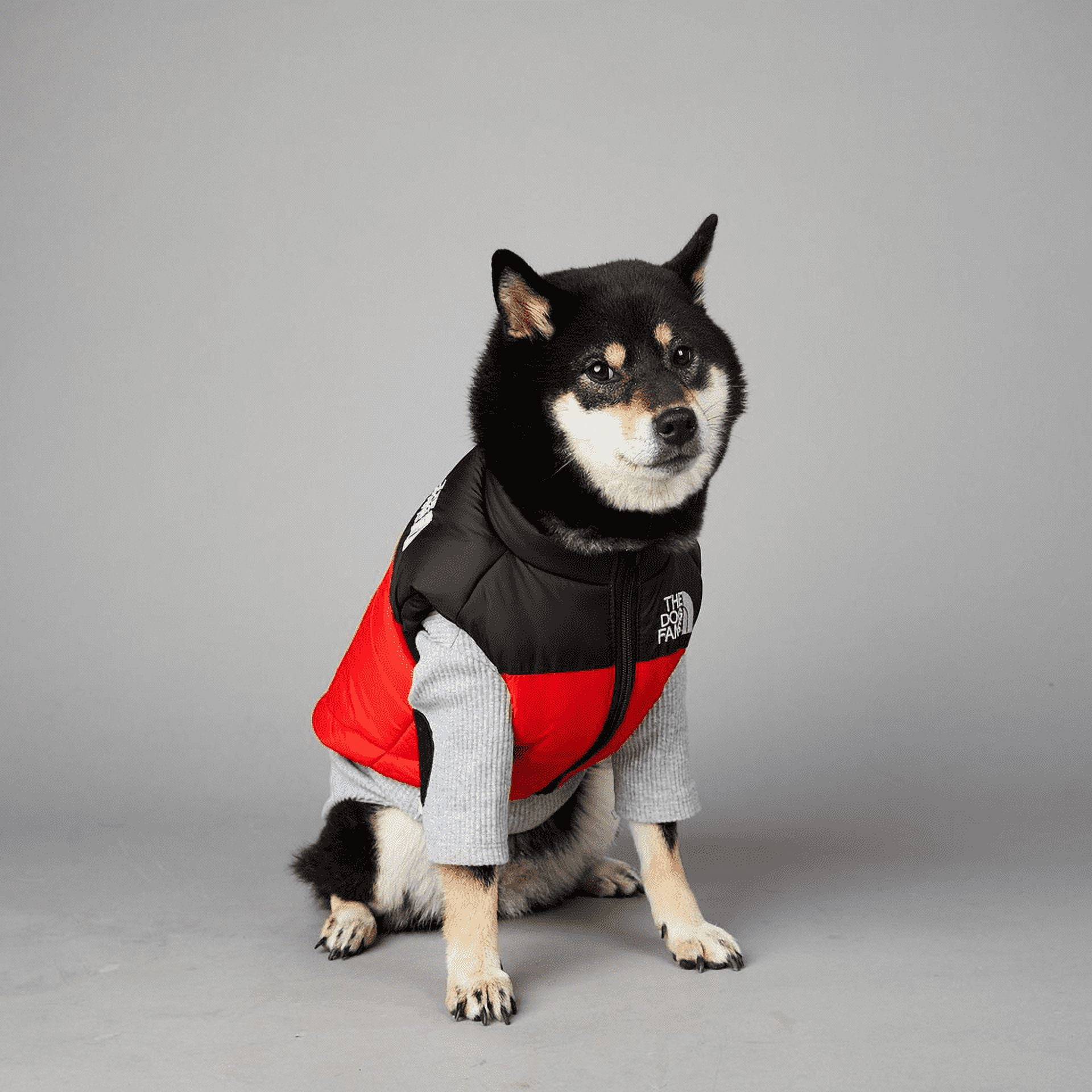Cup and Cone Insulated Dog Walk Jacket CUP AND CONE Dog Walk Jacke