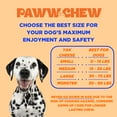 thumbnail image 5 of Himalayan Yak Chews for Small Dogs - 100% Natural Long Lasting Dog Treat, (Small - 8 Pack) Odorless, High Protein Yak Cheese, Limited Ingredient Yak Bones for Small Dogs, 5 of 6