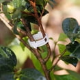 thumbnail image 3 of 50 soportes para plantas de jardín para el crecimiento vertical de tomates y verduras, colgadores de flores, 3 of 8