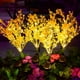 thumbnail image 5 of CaiYueKe Solar Rapeseed Flower Garden Lights, Outdoor Solar Powered LED Lamp for Yard Patio Pathway Landscape, Warm White Decorative Lighting, Stainless Steel Stake, 5 of 6