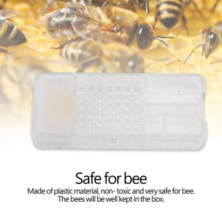 Zaqw Bee Box Honey Beekeeping Plastic Hive Cage Catching Tool Moving Equipment Match, Hive Moving Equipment, Hive Cage Catching (Best Plastic Containers For Moving)