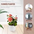 thumbnail image 4 of 1 Set of Double Layers Gardening Pots Starter Pots Flower Pots Flower Containers, 4 of 8