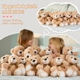 thumbnail image 4 of MaoGoLan 12 Packs Teddy Bear 14" Bulk Stuffed Animals Baby Shower Plush Toy, 4 of 12