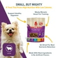PLATO Pet Treats Air Dried HYZ01 Small Bites Dog Treats, Natural Bite