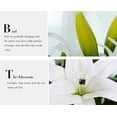 thumbnail image 6 of Artificial Flowers, 5pcs Artificial Full Bloom Artificial Latex Real Touch Flowers for Home Decor, Wedding, Parties, Offices, 6 of 10