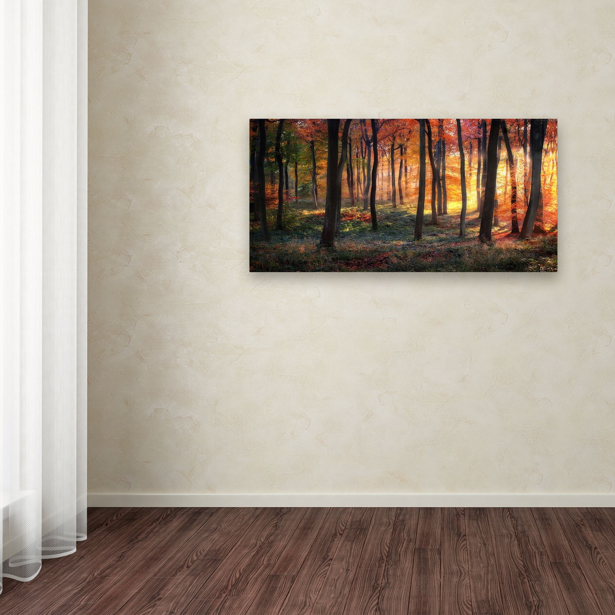 Photokes 'Autumn Woodland Sunrise' Canvas Art