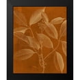 thumbnail image 2 of Vision Studio 12x14 Black Modern Framed Museum Art Print Titled - Modern Botany VI, 2 of 5