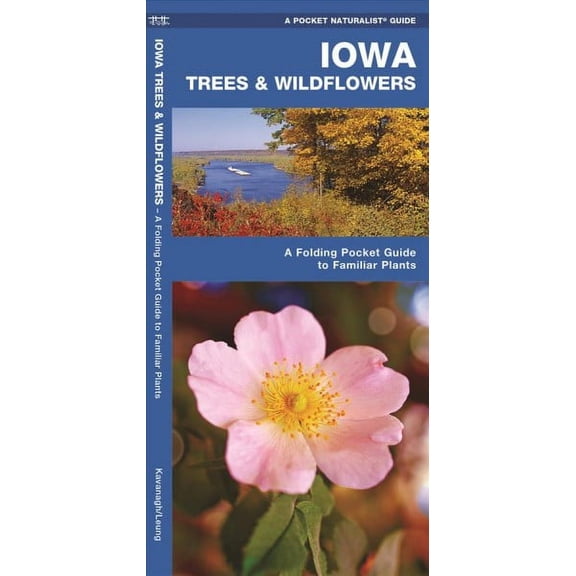 Wildlife and Nature Identification: Iowa Trees & Wildflowers : A Folding Pocket Guide to Familiar Plants (Other)