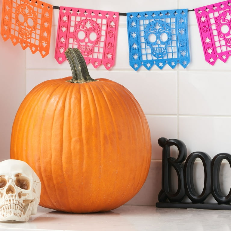 Carving Pumpkin, Each