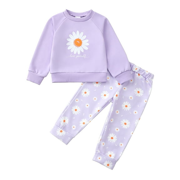 3 Months Baby Girls Clothes 6 Months Girls 2PCS Outfits Set Daisy Flower Print Infant Girls Long Sleeve Top Floral Pants Set Purple