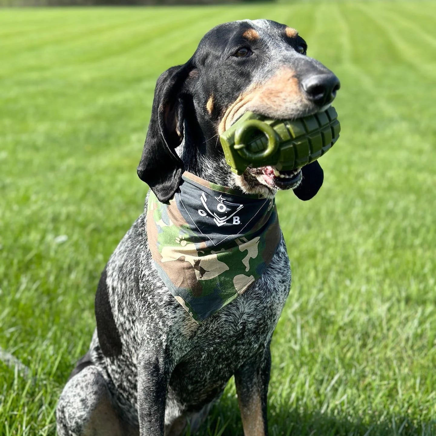 Operation Good Boy Grenade, Non-Toxic Dog Toy Grenade with Treat Pocket for Aggressive Chewers, Green