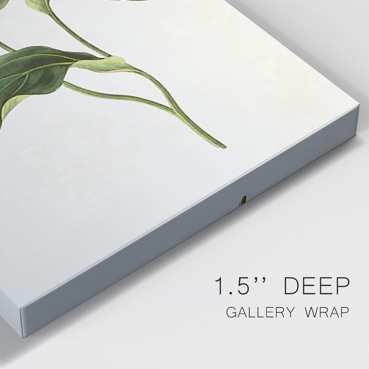 Flowers of the Seasons X Premium Gallery Wrapped Canvas - Ready to Hang