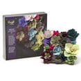 thumbnail image 2 of Craft Crush Felt Succulents, 2 of 3