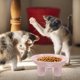 thumbnail image 4 of WEUVEB Para Mascotas De Adecuada Color Rosa Con Moderno Y Duradero, 4 of 8