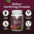 Kidney Support Cranberry Supplement for Women and Men High Strength