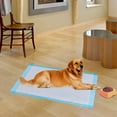 thumbnail image 3 of Costway 200 Pcs Tapis pour Chiots 24 Pouces x 24 Pouces Tapis d'Entraînement pour Chiens et Chats, 3 of 8