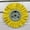 Yellow, variant on 8" 5/8" Arbor 12-Layer High-Airflow Hard Polishing Wheel | For Angle Grinders, High-Strength Design, Single Piece in Multiple Colors