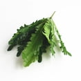 thumbnail image 3 of 2Pcs Artificial Zebra , 19.6" Zebra Leaf Spray, Aphelandra Squarrosa with Green & Yellow Stripes, Maintenance Free Greenery for Home Office Table Centerpiece, 3 of 6