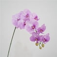 thumbnail image 1 of 1 simulación de sensación de flor Phalaenopsis modelo de hogar decoración de la habitación arreglo floral decoración boda paisajismo flor artificial de plástico BRILLAR  Rojo Verde, 1 of 5