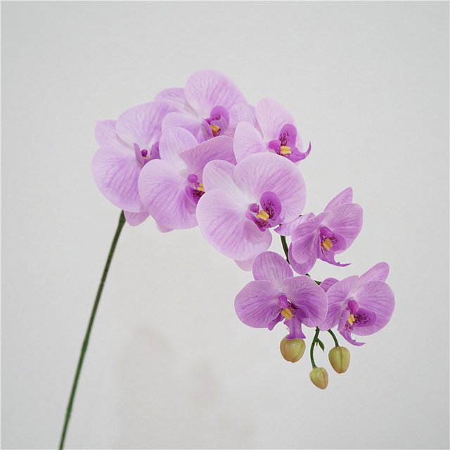 1 simulación de sensación de flor Phalaenopsis modelo de hogar decoración de la habitación arreglo floral decoración boda paisajismo flor artificial de plástico BRILLAR Rojo Verde
