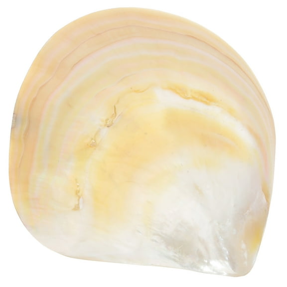 Raindrops MultiColor Food Plates for Home Made of Synthetic Material Perfect for Serving Dessert and Appetizers 10.5 Inches