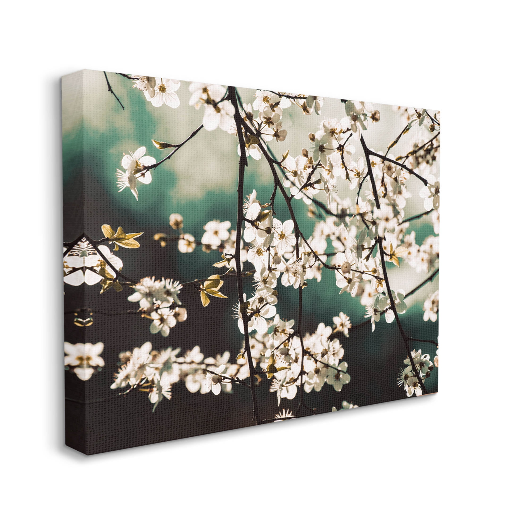 Cherry Blossom Nature Photography Botanical & Floral Photograph Gallery Wrapped Canvas Print Wall Art