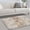 Beige, variant on Soft Fluffy Shaggy Area Rug, 2'x3' Tie-Dyed Light Grey Anti-Slip Plush Fuzzy Carpet for Living Room Bedroom Nursery Home Decor