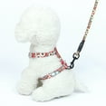 thumbnail image 6 of Cat Harness and Leash Set，Escape Proof Adjustable for Outdoor Walking with Safety Buckle, Moon and Star, 6 of 8