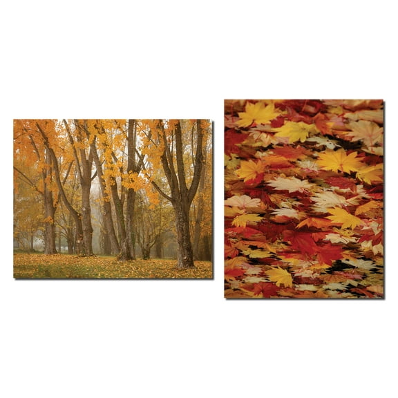 Gorgeous Fall Foliage Red Yellow Orange Leaves and Trees Photograph Prints; One 14x11 and One 11x14in Poster Print