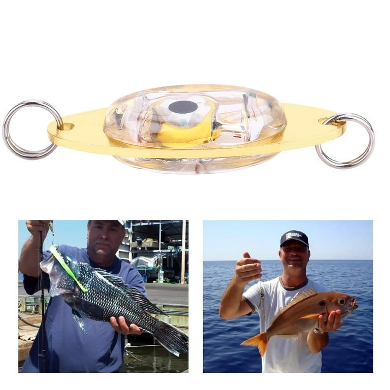 LED Fishing Lures Kit Deep Drop Fishing Lights LED Fishing Spoons