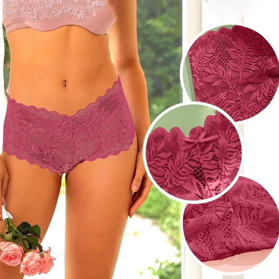LWITHSZG Lace Underwear for Women See Through Mesh Briefs No Show Seamless Underpants Soft Stretch Breathable Ladies Panties S-XL
