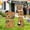 Orange, variant on grad decorations 2026,senior yard signs class of 2026,for Outdoor Indoor Party Graduation Garden Supplies,with Stakes Class of 2026 Graduation Party Supplies Photo Backdrop Prop Decor(BK)