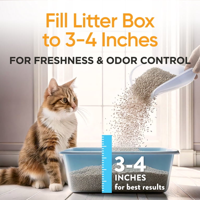 ARM & HAMMER Dual Defense Clumping Cat Litter, 14 lbs photo 6