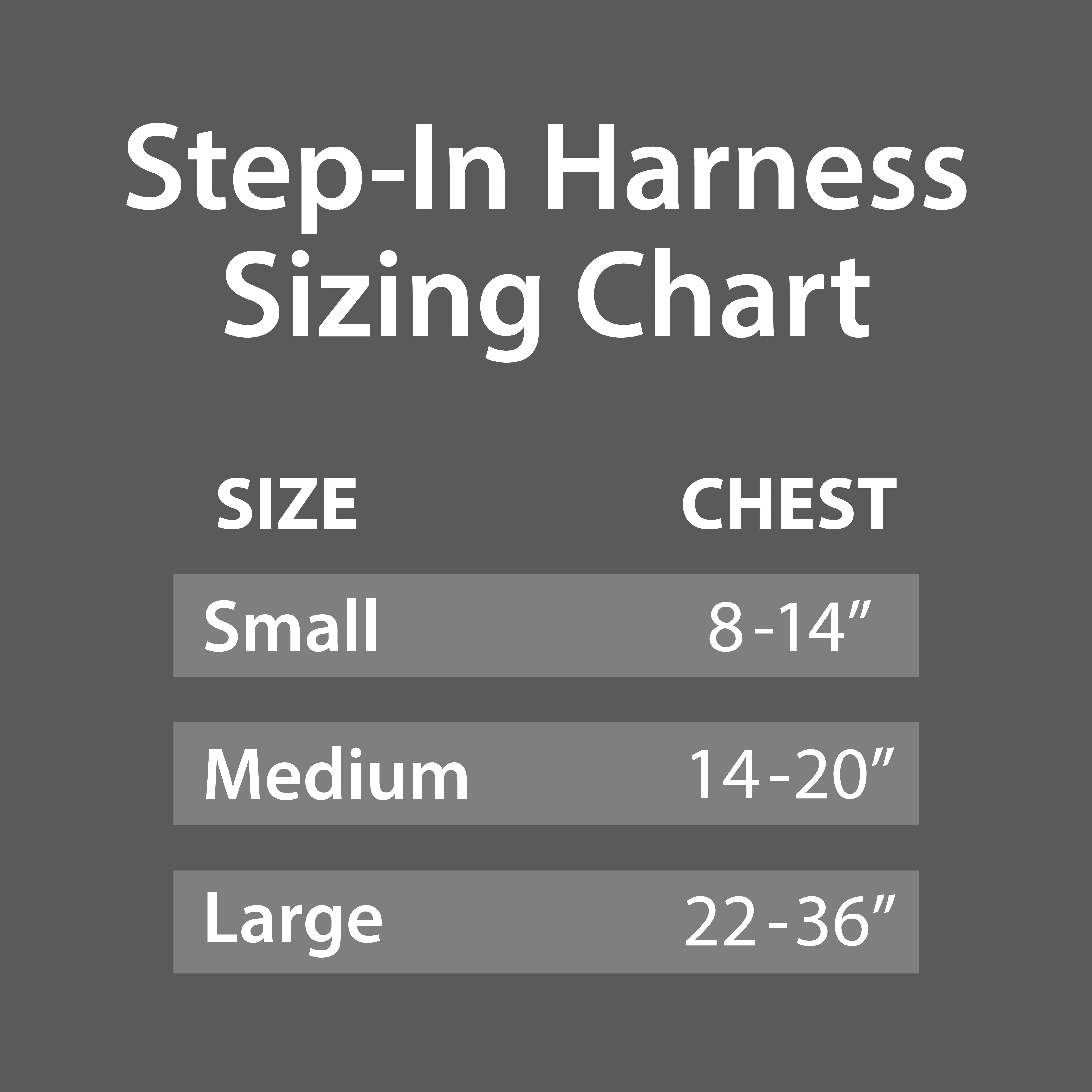 (2 pack) Pet Champion Medium Basic Step-In Dog Harness