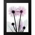thumbnail image 2 of Koetsier, Albert 15x18 Black Modern Framed Museum Art Print Titled - Gerbera-B23-Color, 2 of 5