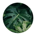 thumbnail image 4 of PIKWEEK Palm Leaves with Lush Branches and Leaves Full Width Single-Sided Printing Round Tablecloth White, 4 of 8