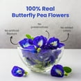 thumbnail image 3 of BLUE TEA - Butterfly Pea Flower - 30 Pyramid Tea Bags | CAFFEINE-FREE - Premium Tin Pack, 3 of 6