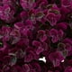 thumbnail image 4 of Artificial Topiary Ball Decoración Artificial Plantas Esferas Decorativas Follaje Realista Material Plástico Adecuado para Bodas Hogares Negocios Púrpura 34cm, 4 of 8