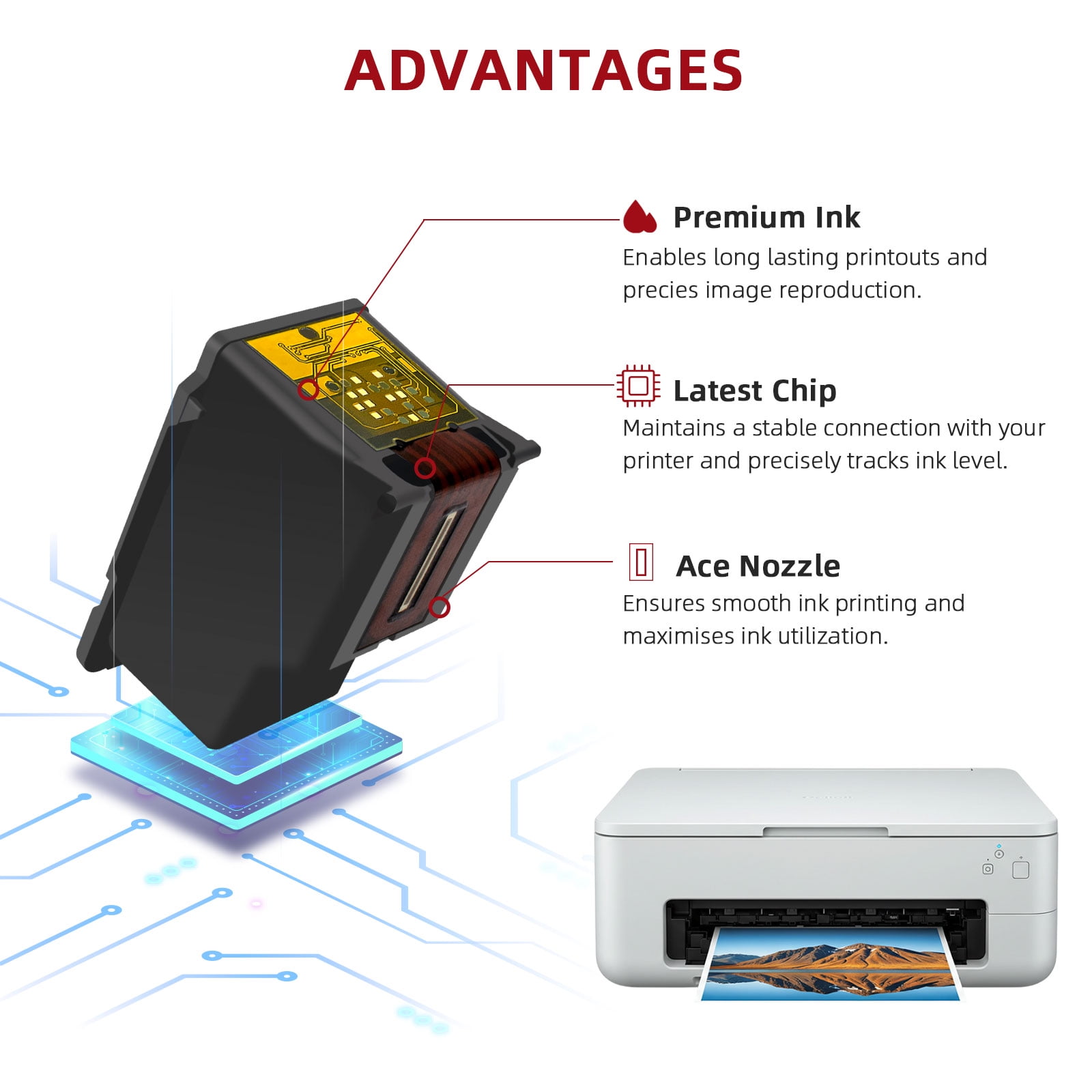 245XL Ink Cartridge for Canon 245 Black Ink for Pixma TR4520 MX490 492 Ip2820 TS202 302 3327 MG2420 2520 2555 3020 ( 2 Black)
