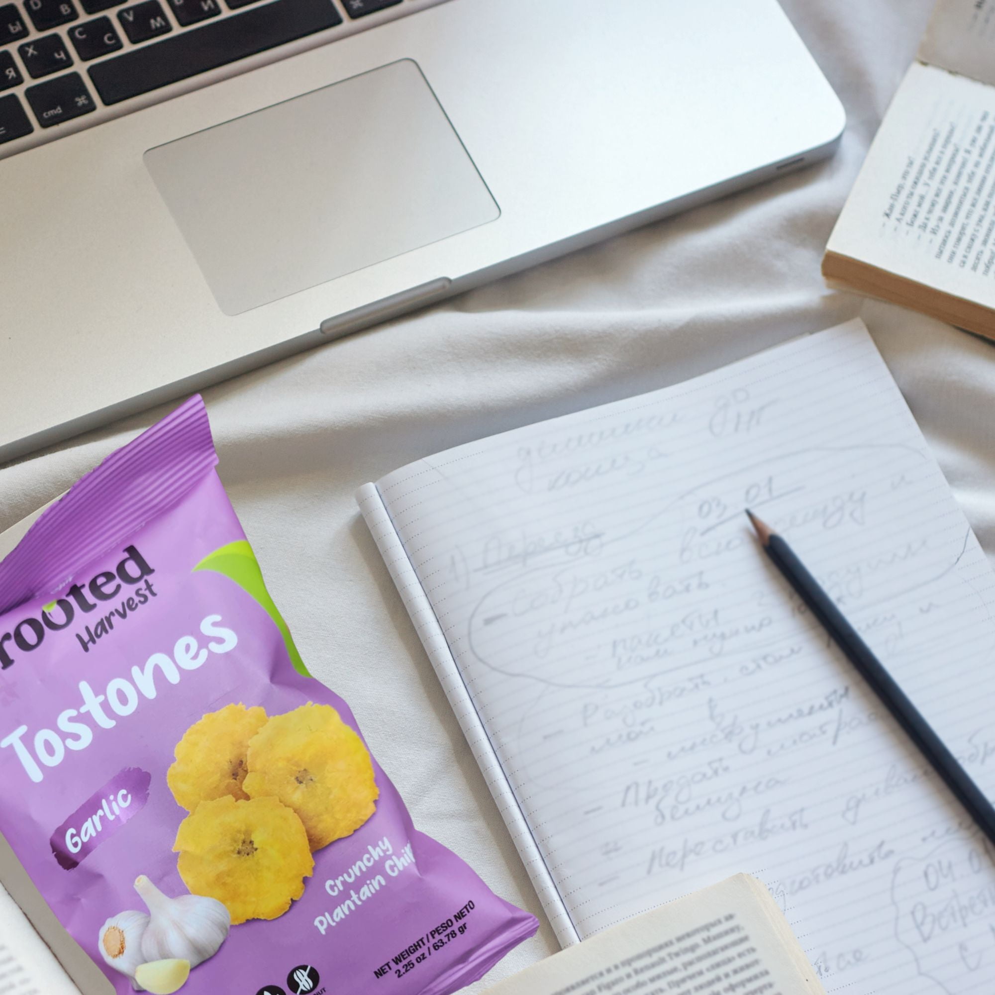 Rooted Harvest Tostones Garlic Crunchy Plantain Chips 2.25 Oz 3 Pack, Vegan Friendly Gluten Free Non-GMO Snacks, School Lunchbox Picnic On the Go Snacking Party w/ Snoep in Beperkte Oplage