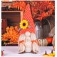 thumbnail image 1 of Adornos de flores de verano, muñeco sin rostro, adornos de gnomo enano Rodolfo, regalos de Pascua, adornos de muñeco., 1 of 3