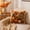B-2B-clearacne, variant on Amketima Thanksgiving Fall Throw Pillow with Insert Vintage Embossed Pumpkin Sunflower Decorative Cushion for Sofa Couch Home Decor