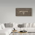 thumbnail image 3 of Trademark Fine Art 'Longhorn I Taupe' Canvas Art by Wellington Studio, 3 of 3