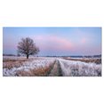 thumbnail image 2 of Dry Oak Tree in Winter Panorama - Landscape Print Wall Artwork, 2 of 3