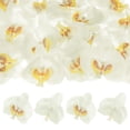 thumbnail image 1 of Cabezas de Flores de Orquídea Artificial de 20 Paquetes, Cabezas de Flores de Mariposa de Seda Falsa para Decoración [3.54", Blanco Amarillo], 1 of 1