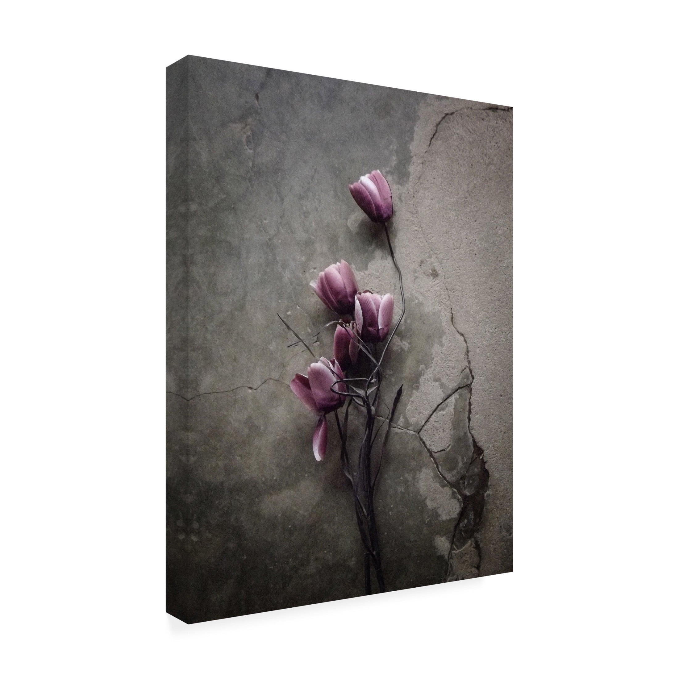 Canvas Wall Art - Kahar Lagaa 'The Tulip' Wall Art for Living Room, Bedroom, or Office D?cor by Trademark Fine Art - 18 x 24 Inches
