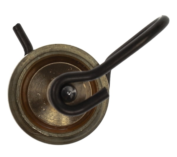 Engine Coolant Thermostat