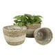 thumbnail image 5 of para Plantas Hechas , Macetas con Revestimiento para Macetas, Macetas para Interior Y Exterior, 5 of 9
