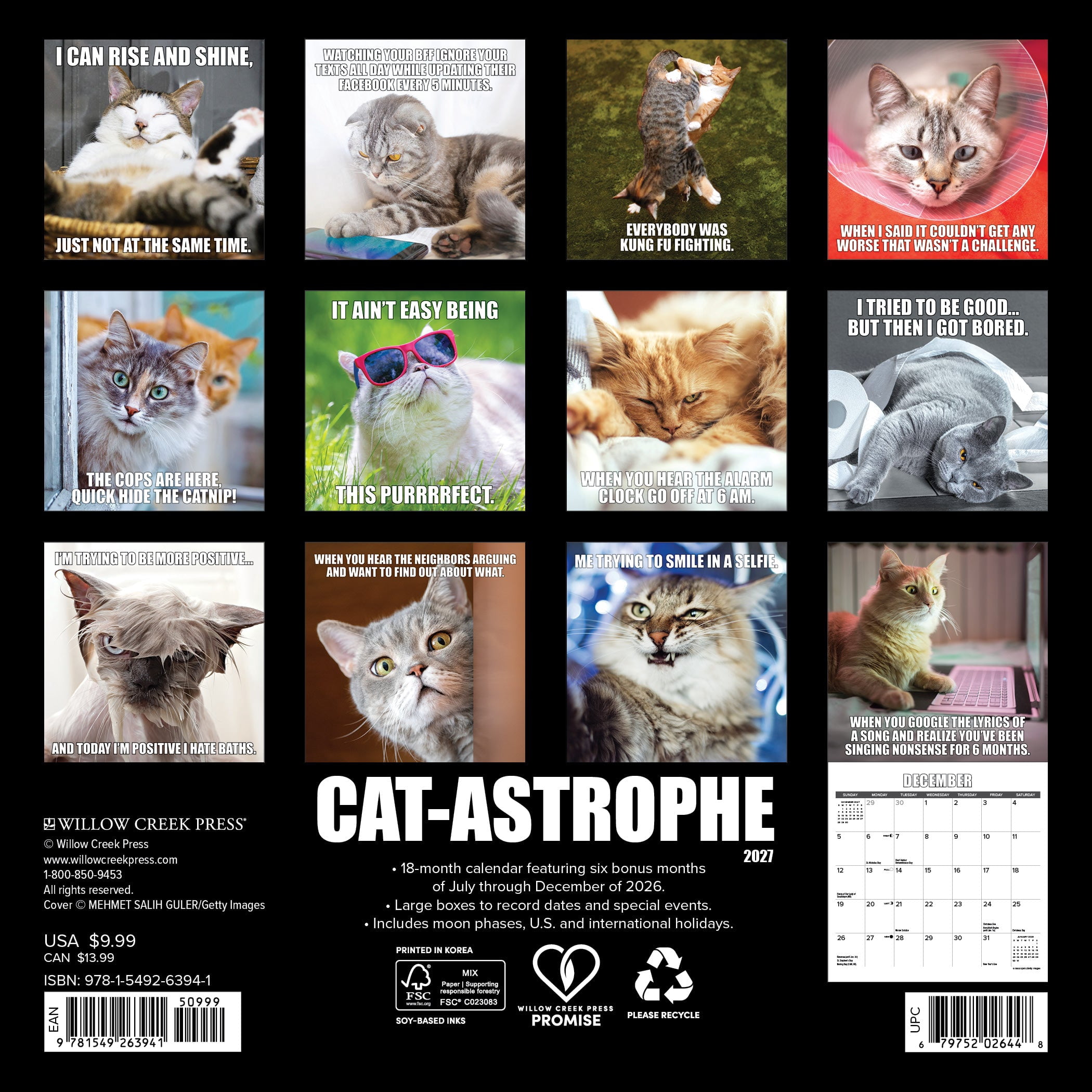 Willow Creek Press, Cat-astrophe 2027 Mini Wall Calendar