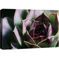 thumbnail image 3 of PixonSign Canvas Print Wall Art Blossoming Rose Succulent Floral Wilderness Photography Realism Glam Closeup Colorful Multicolor Ultra for Living Room, Bedroom, Office - 12"x18", 3 of 5